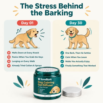 Day 1 vs day 30: the stress behind the barking